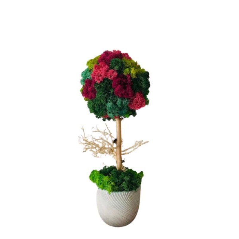 Copac din licheni stabilizati 40 cm