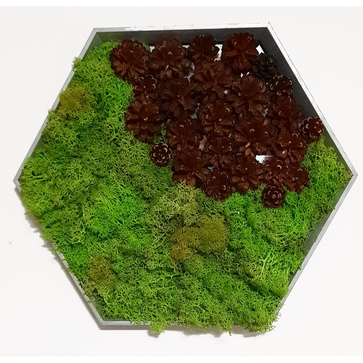 Arajament din plante stabilizate, licheni stabilizati si oglinda diametru 37 cm, verde