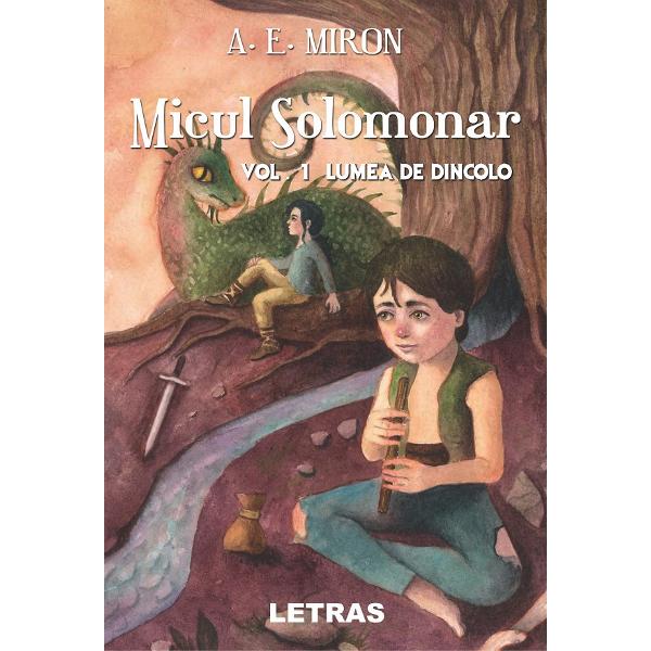 Micul solomonar. Vol.1: Lumea de dincolo - A.E. Miron