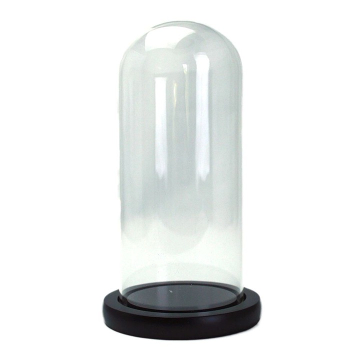 Cupola de sticla transparenta, dom sticla, baza lemn negru, diametru 12 cm, inaltime 30 cm
