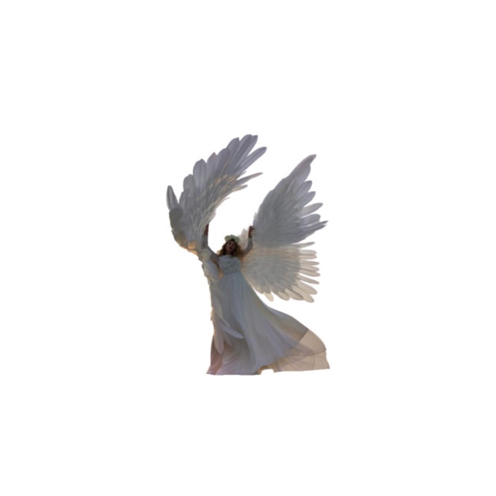 Aripi gigant de inger, adult, alb, cu puf, 400 x 160 cm