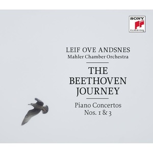 Vinyl-uri si cd-uri muzica