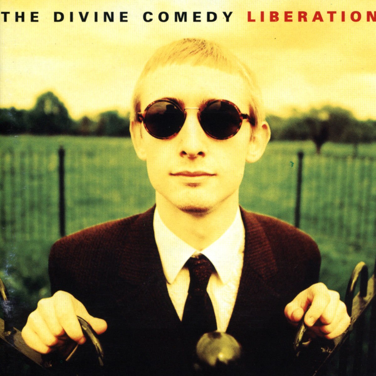 Divine Comedy - Liberation (LP)