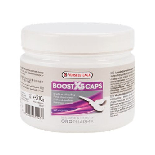 Supliment nutritiv pentru porumbei BOOST X5 , Versele Laga, 210g