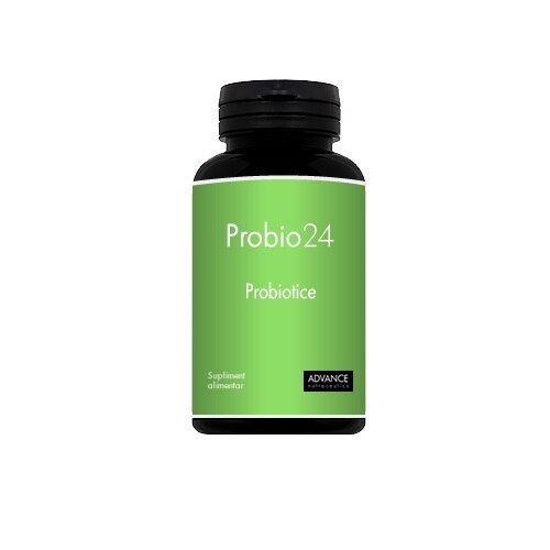 Supliment alimentar, Probio24 , ADVANCE, Reishi, 60 capsule