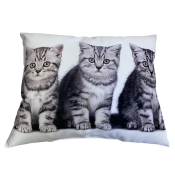 Perna decorativa cu doua fete, Cats, imprimat, 40x50 cm Perna decorativa cu doua fete, Cats, imprimat, 40x50 cm