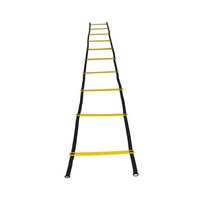 Scarita pentru agilitate- 5 m