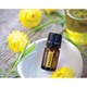 Ulei esential pur, Doterra, Helichrysum, 5 ml