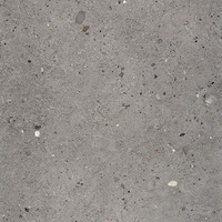 gresie emil ceramiche ego gri 60x60cm imagen 8_0_
0