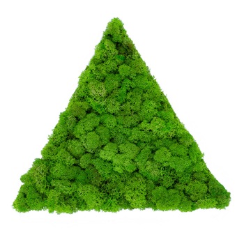 Panou Triunghi din licheni naturali – Green, 30 x 30 cm Panou Triunghi din licheni naturali – Green, 30 x 30 cm