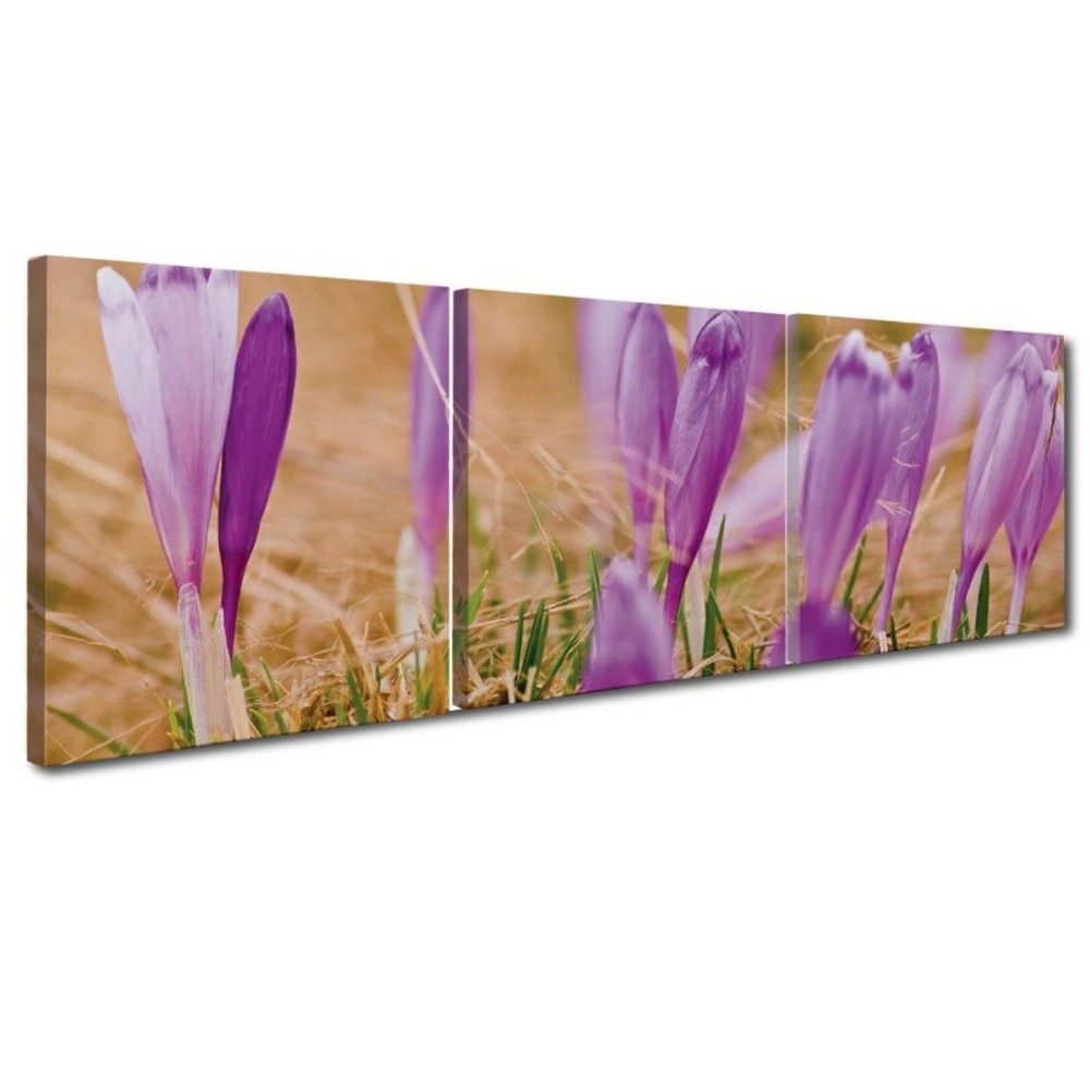 Tablou YEM1197 , 3 piese, Branduse, canvas + sasiu brad, 120 x 40 cm