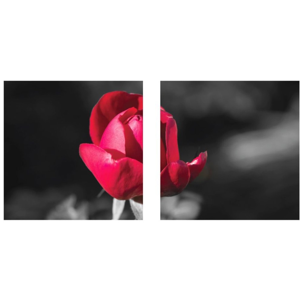 Tablou YEM1210, 2 piese, Trandafir, canvas + sasiu brad, 80 x 40 cm