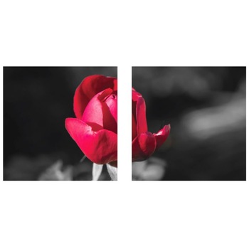 Tablou YEM1210, 2 piese, Trandafir, canvas + sasiu brad, 80 x 40 cm Tablou YEM1210, 2 piese, Trandafir, canvas + sasiu brad, 80 x 40 cm