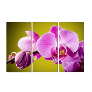 Tablou canvas YEM12-PA0028, 3 piese, compozitie cu flori, panza, 90 x 60 cm Tablou canvas YEM12-PA0028, 3 piese, compozitie cu flori, panza, 90 x 60 cm