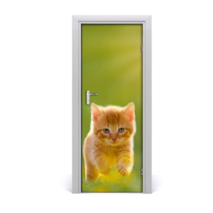 Stickere decorative. Tulup. Autocolante pentru usi. model perete pisica Rudy. 75 x 205 cm