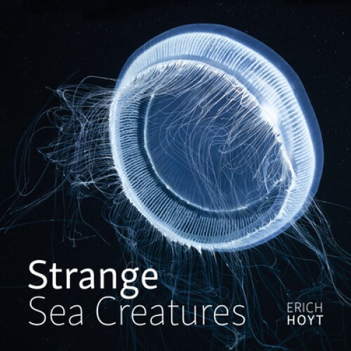 Strange Sea Creatures, Erich Hoyt (Author)