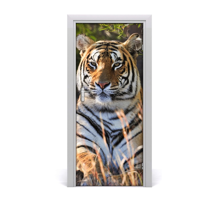 Stickere decorative. Tulup. Autocolante pentru usi. model tigru perete. 85 x 205 cm