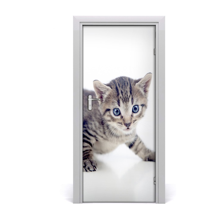 Stickere decorative. Tulup. Autocolante pentru usi. model perete pisica mica. 85 x 205 cm