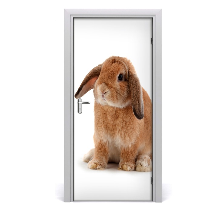 Stickere decorative. Tulup. Autocolante pentru usi. model perete Rabbit. 95x205 cm