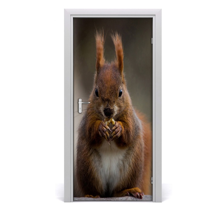 Stickere decorative. Tulup. Autocolante pentru usi. model perete Squirrel. 95x205 cm