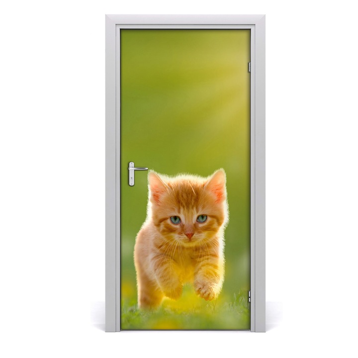 Stickere decorative. Tulup. Autocolante pentru usi. model perete pisica Rudy. 95x205 cm