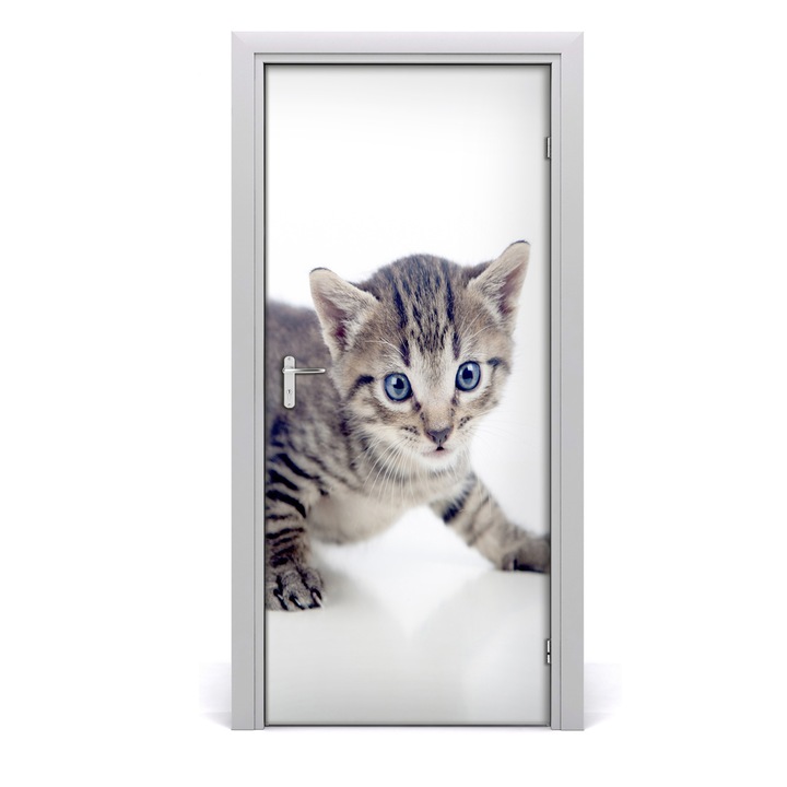 Stickere decorative. Tulup. Autocolante pentru usi. model perete pisica mica. 95x205 cm