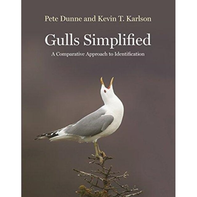 Gulls Simplified: A Comparative Approach to Identification, Pete Dunne (Author)