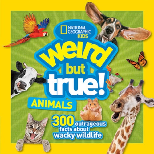 Weird But True Animals, National Geographic Kids (Author)
