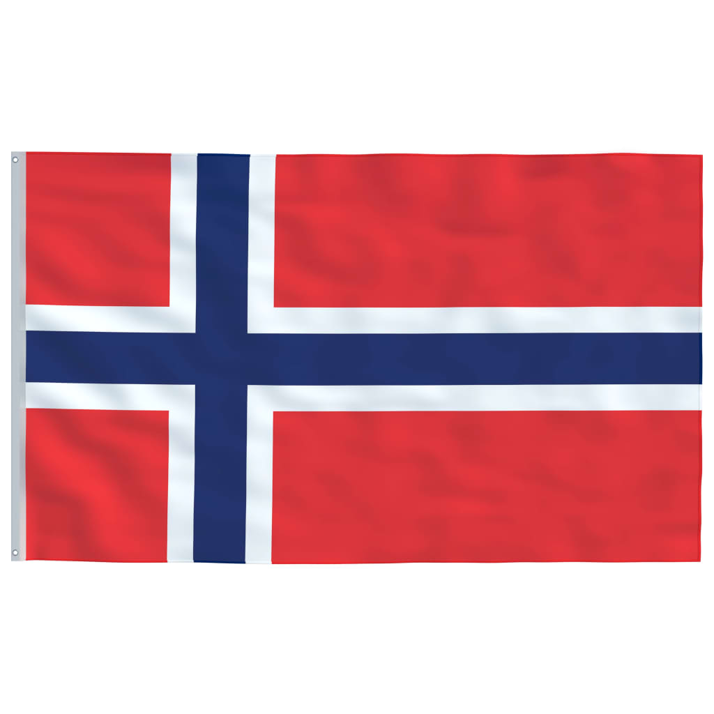 Steag national Norvegia, vidaXL, Poliester 68D, 90 x 150, Multicolor