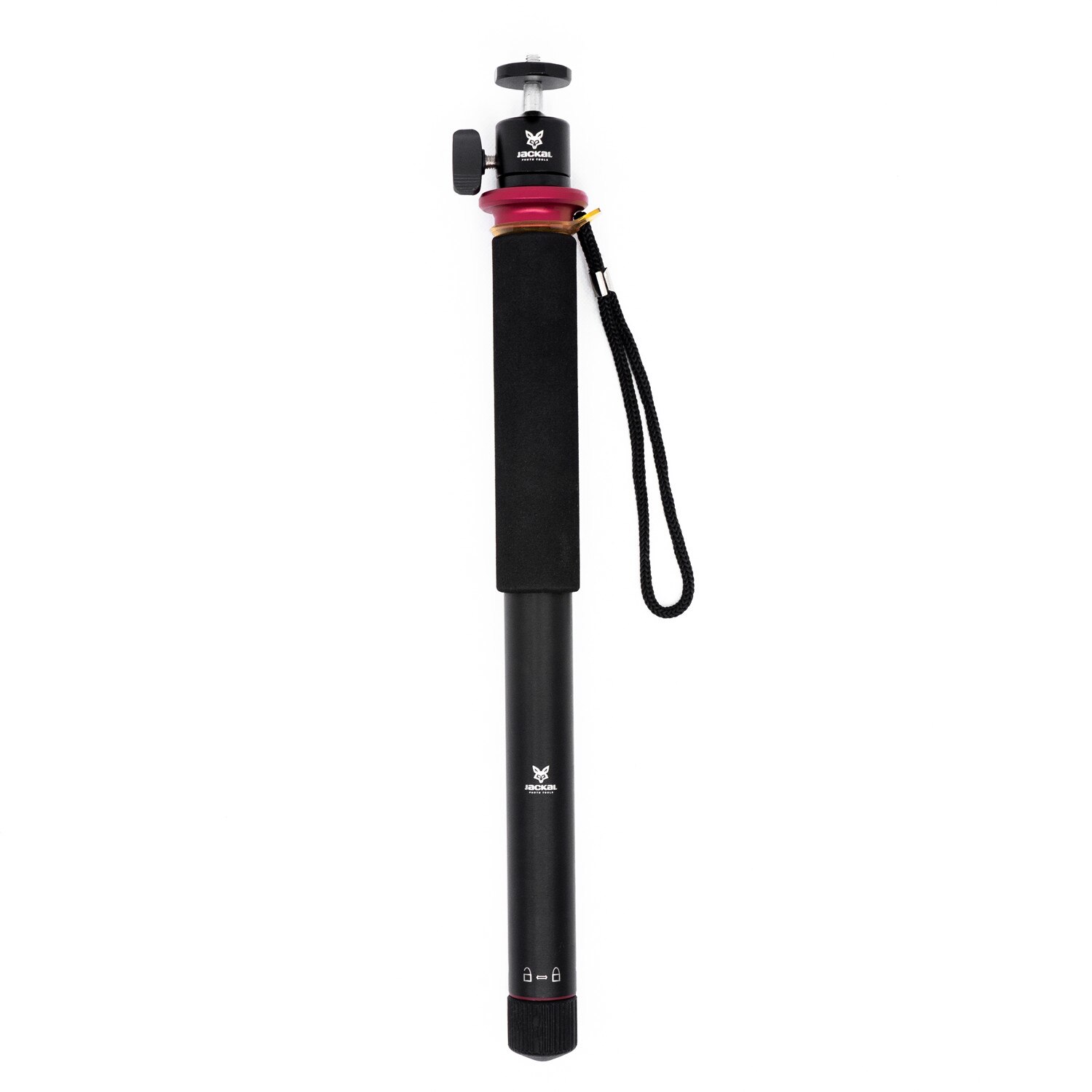 Monopied foto , Jackal Cane , negru