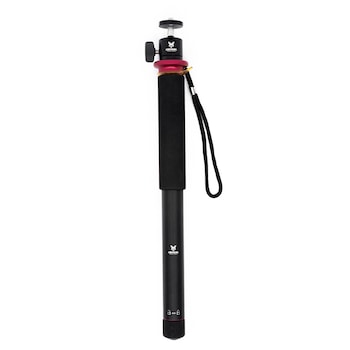 Monopied foto , Jackal Cane , negru Monopied foto , Jackal Cane , negru
