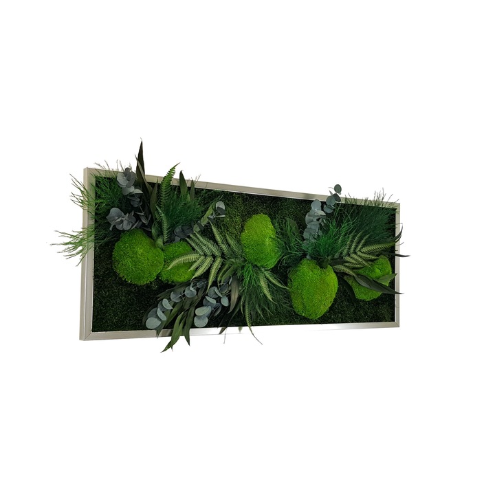 Tablou licheni, muschi si plante naturale stabilizate, Jolie Arts, Model Green Day, dimensiune 40 x 100 cm
