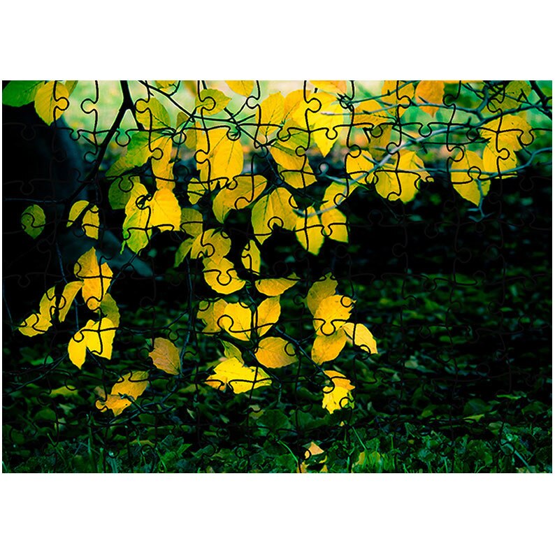 Puzzle Heartwork 96 piese, Frunzele galbene, toamna, Latime 40,5 cm x Inaltime 28,7 cm