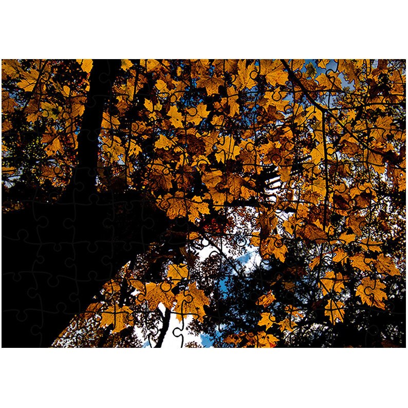 Puzzle Heartwork 96 piese, Copac cu trunchi intunecat, toamna, Latime 40,5 cm x Inaltime 28,7 cm