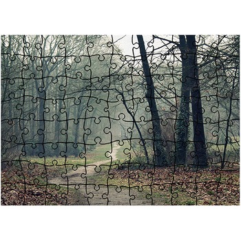 Puzzle Heartwork 96 piese, Poteca serpuita spre padure, toamna, Latime 40,5 cm x Inaltime 28,7 cm Puzzle Heartwork 96 piese, Poteca serpuita spre padure, toamna, Latime 40,5 cm x Inaltime 28,7 cm