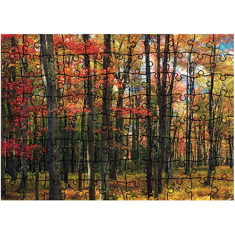 Puzzle Heartwork 96 piese, Padure tanara toamna, toamna, Latime 40,5 cm x Inaltime 28,7 cm