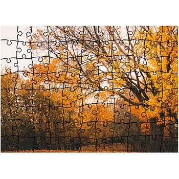 Puzzle Heartwork 96 piese, Covor minunat de frunze, toamna, Latime 40,5 cm x Inaltime 28,7 cm Puzzle Heartwork 96 piese, Covor minunat de frunze, toamna, Latime 40,5 cm x Inaltime 28,7 cm