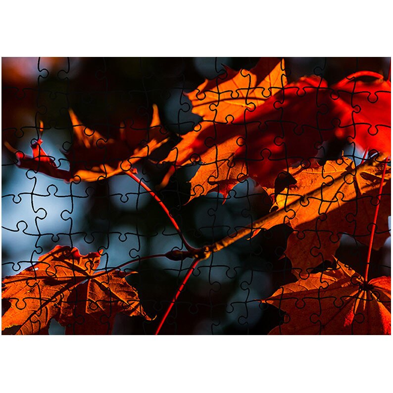 Puzzle Heartwork 96 piese, Lumina rosie peste ramura, toamna, Latime 40,5 cm x Inaltime 28,7 cm