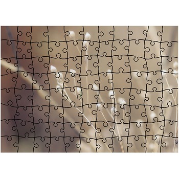 Puzzle Heartwork 96 piese, Crengute de plante uscate, toamna, Latime 40,5 cm x Inaltime 28,7 cm Puzzle Heartwork 96 piese, Crengute de plante uscate, toamna, Latime 40,5 cm x Inaltime 28,7 cm