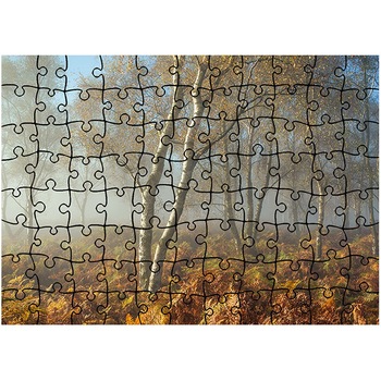 Puzzle Heartwork 96 piese, Ceata printre ferigi, toamna, Latime 40,5 cm x Inaltime 28,7 cm Puzzle Heartwork 96 piese, Ceata printre ferigi, toamna, Latime 40,5 cm x Inaltime 28,7 cm