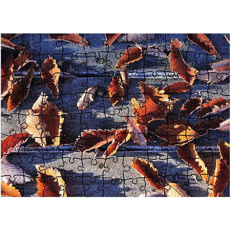 Puzzle Heartwork 96 piese, Frunze inghetate in lumina soarelui, toamna, Latime 40,5 cm x Inaltime 28,7 cm