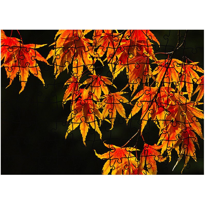 Puzzle Heartwork 96 piese, Perdea colorata de frunze, toamna, Latime 40,5 cm x Inaltime 28,7 cm