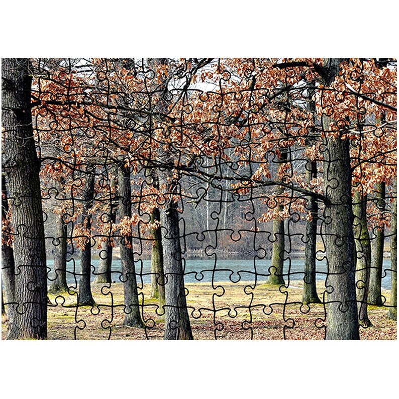 Puzzle Heartwork 96 piese, Drumul spre rau, toamna, Latime 40,5 cm x Inaltime 28,7 cm