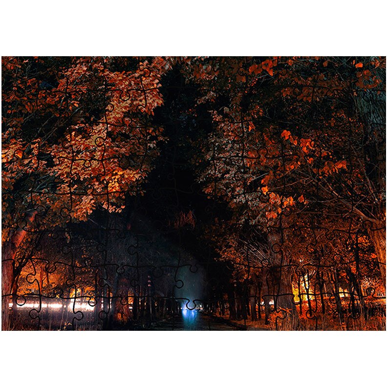 Puzzle Heartwork 96 piese, Tunel natural intunecat, toamna, Latime 40,5 cm x Inaltime 28,7 cm