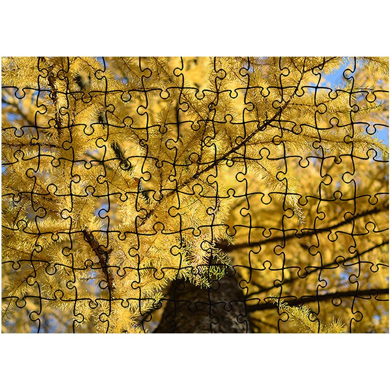 Puzzle Heartwork 96 piese, Conifer ingalbenit, toamna, Latime 40,5 cm x Inaltime 28,7 cm