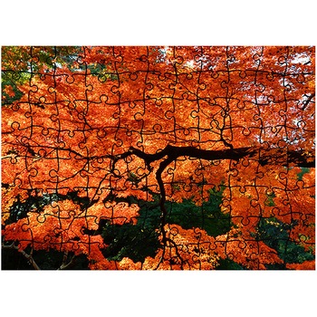 Puzzle Heartwork 96 piese, Ramura cu frunze rosii, toamna, Latime 40,5 cm x Inaltime 28,7 cm Puzzle Heartwork 96 piese, Ramura cu frunze rosii, toamna, Latime 40,5 cm x Inaltime 28,7 cm