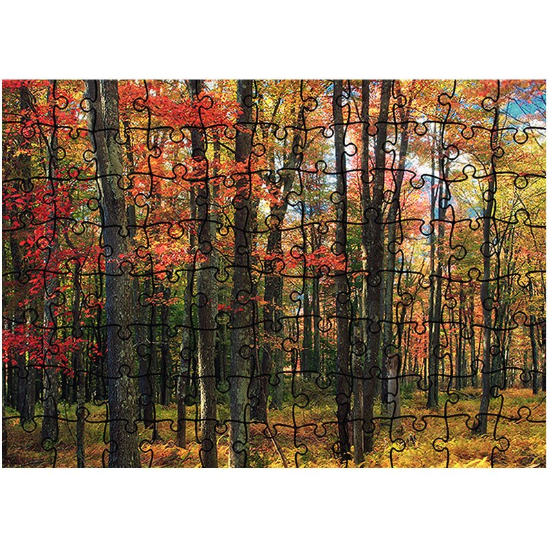 Puzzle Heartwork 96 piese, Padure tanara, toamna, Latime 40,5 cm x Inaltime 28,7 cm