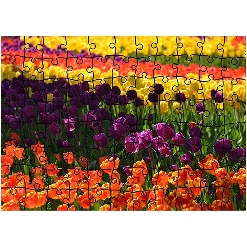 Puzzle Heartwork 96 piese, Macro Olanda, Peisaje, Latime 40,5 cm x Inaltime 28,7 cm