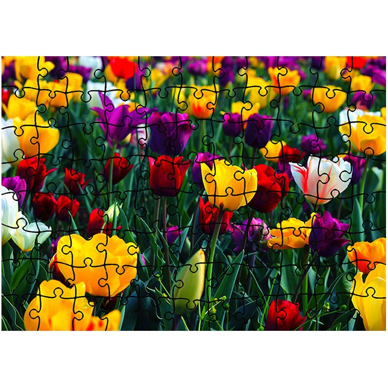 Puzzle Heartwork 96 piese, Lalele Colorate, Peisaje, Latime 40,5 cm x Inaltime 28,7 cm