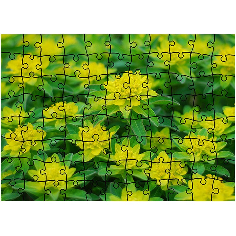 Puzzle Heartwork 96 piese, Floricele curioase, Latime 40,5 cm x Inaltime 28,7 cm